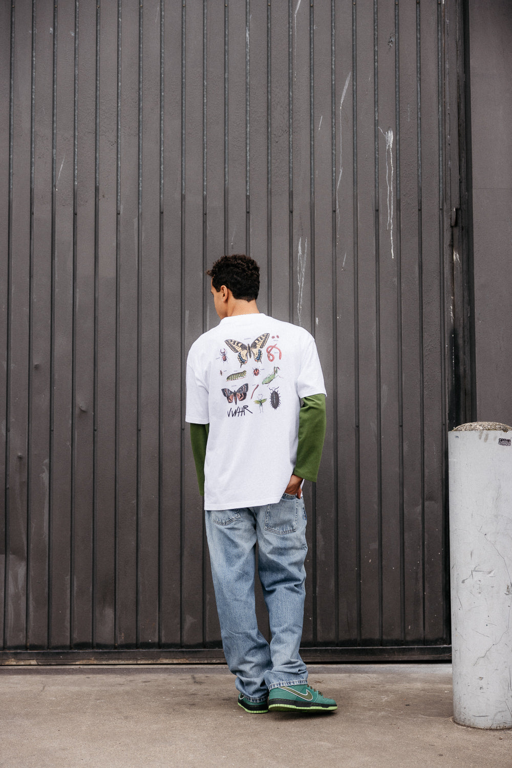 Camiseta Insectos