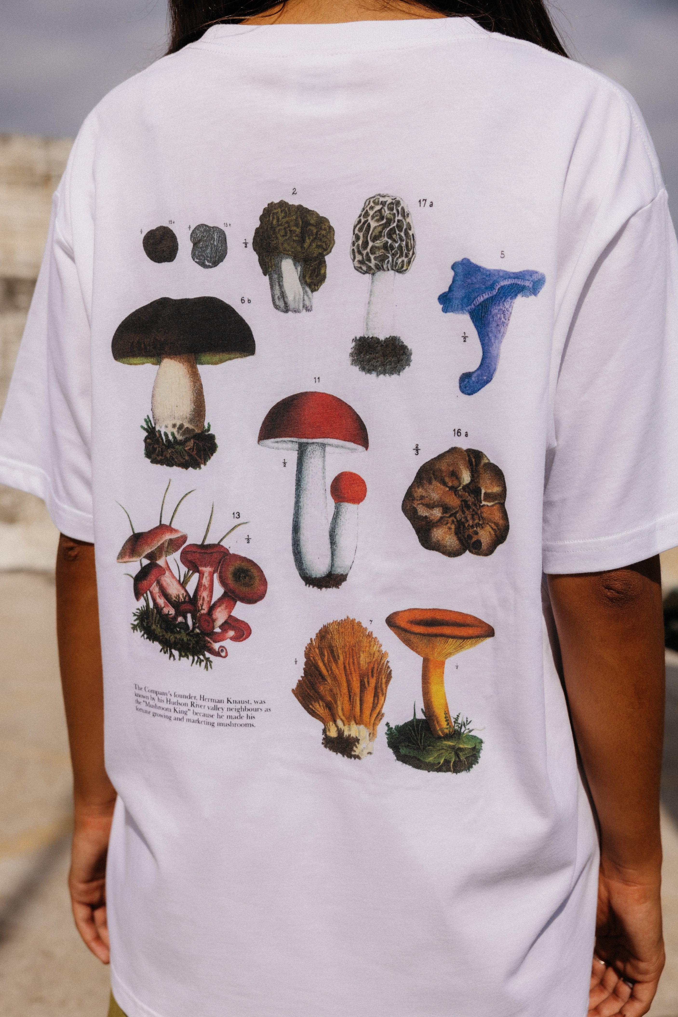 Camiseta Fungui