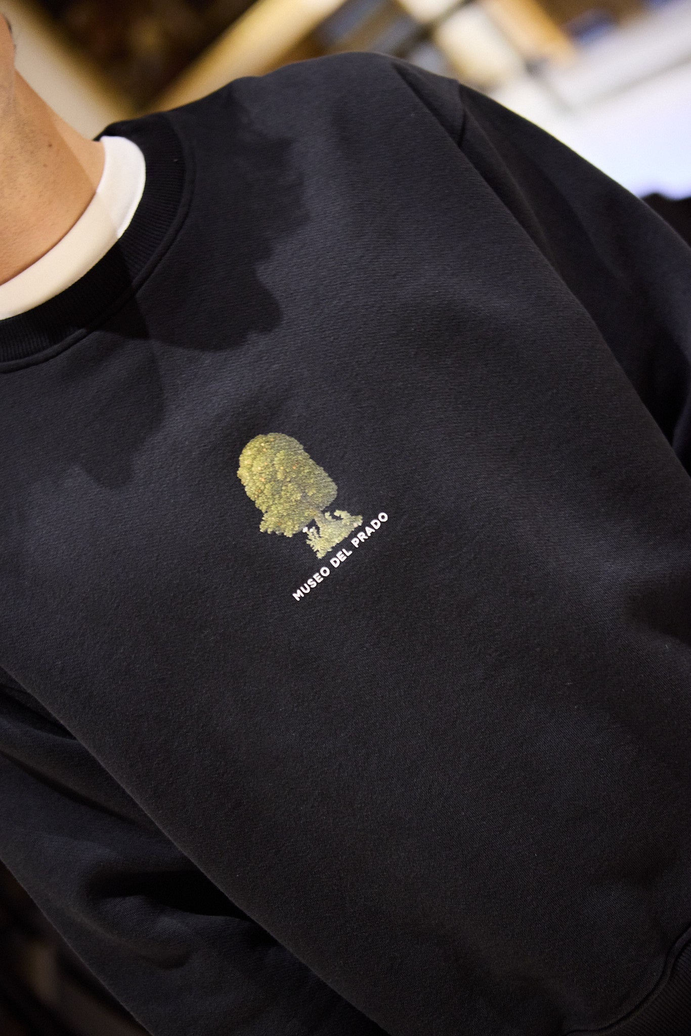 Crewneck pez volador x Museo del Prado