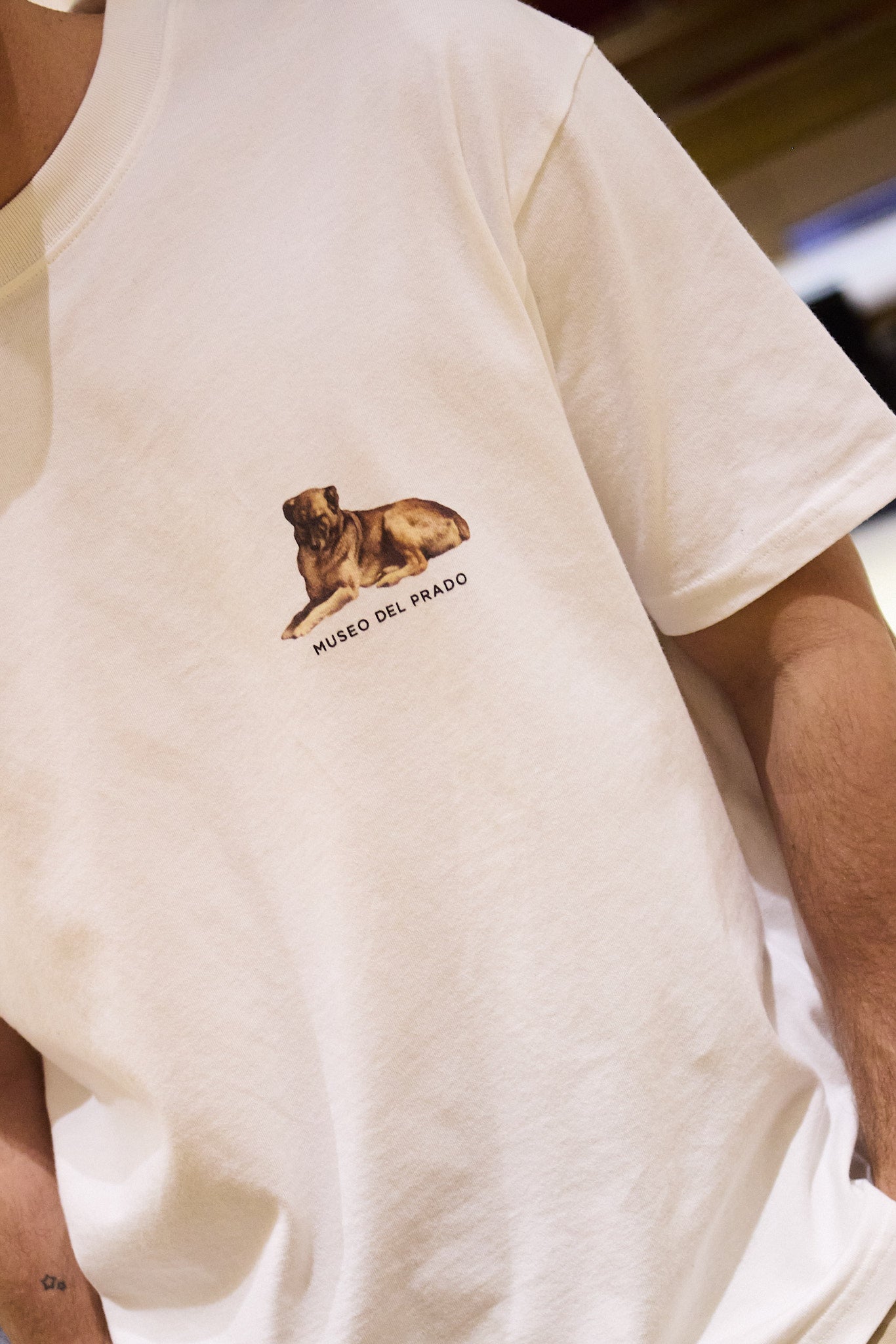 Camiseta Pez Murcielago x Museo del Prado