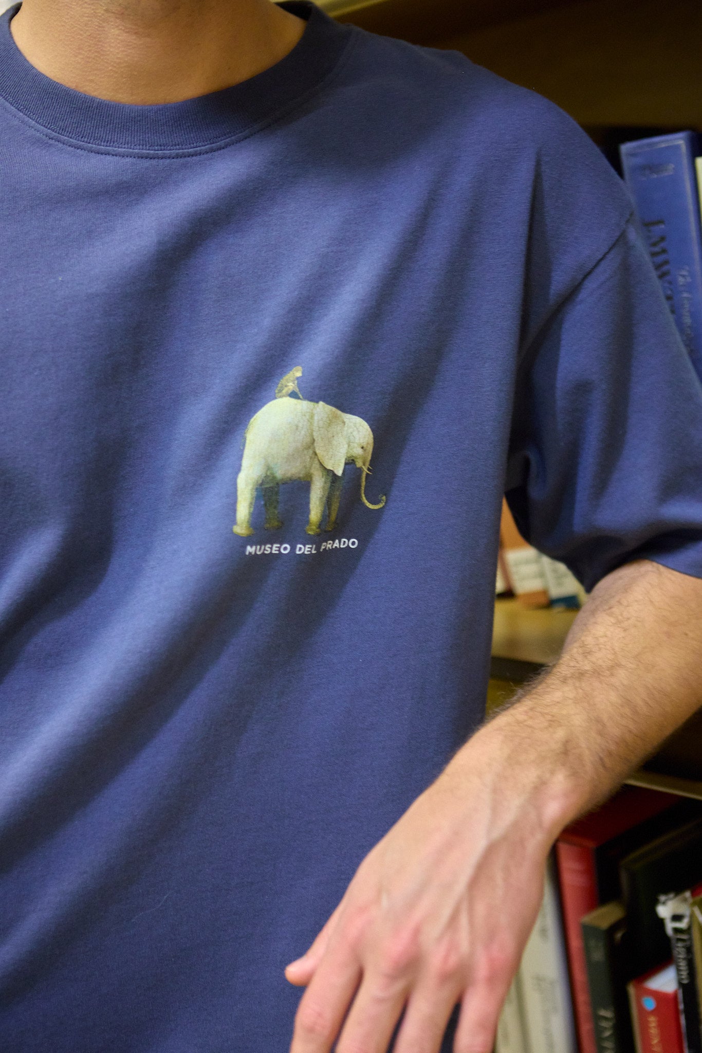 Camiseta Pez volador x Museo del Prado